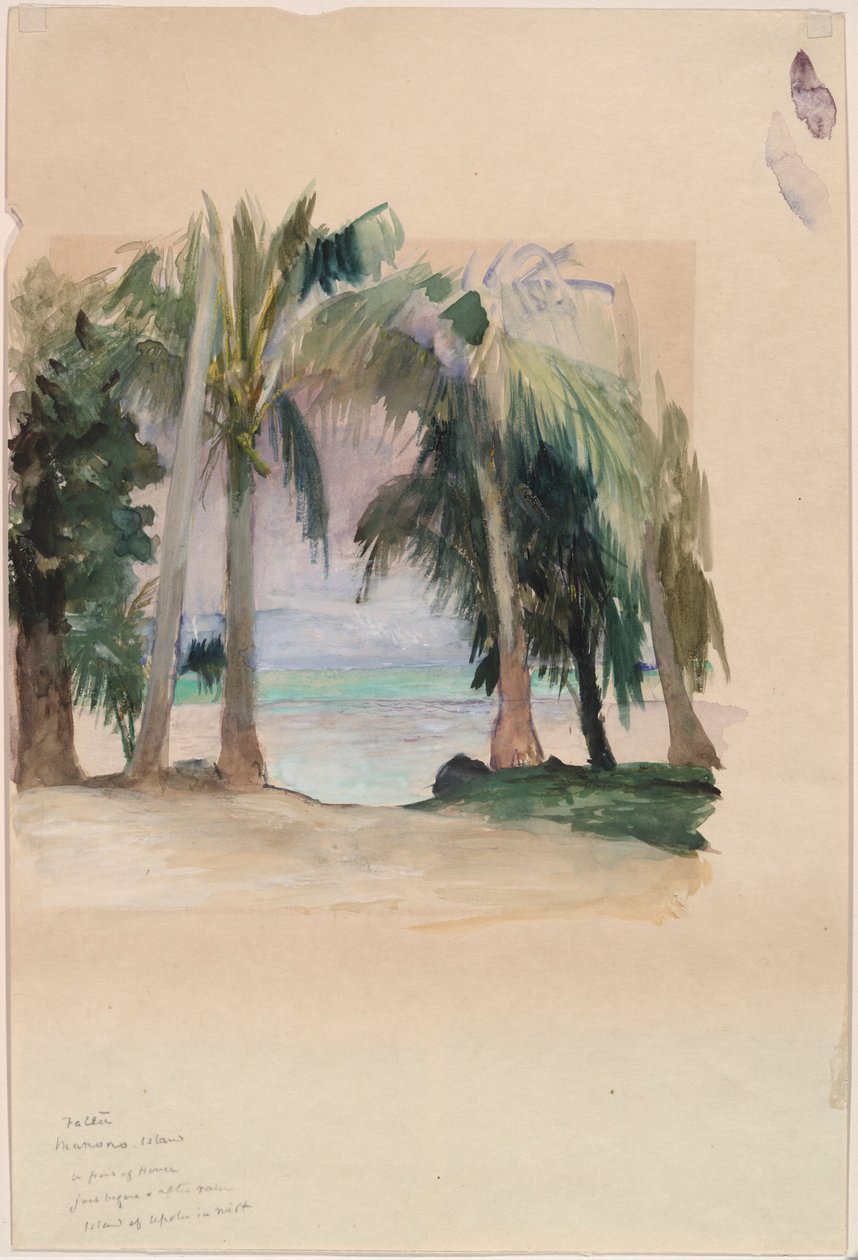Palmen aan zee door John La Farge