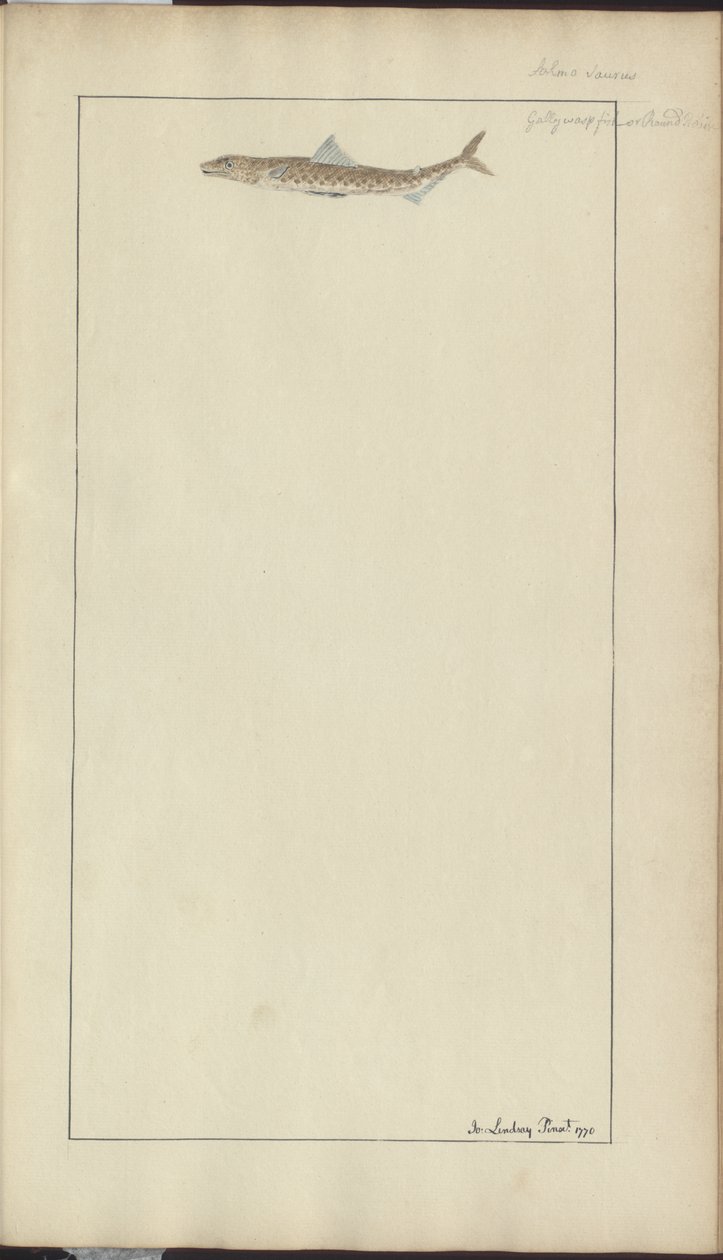 Lindsay Tekeningen Vol. VII, 23 door John Lindsay