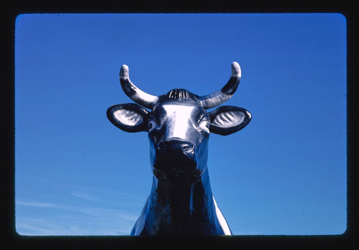 Beeldje van de koe, Kaas- en geschenkenwinkel, Neillsville, Wisconsin, VS door John Margolies