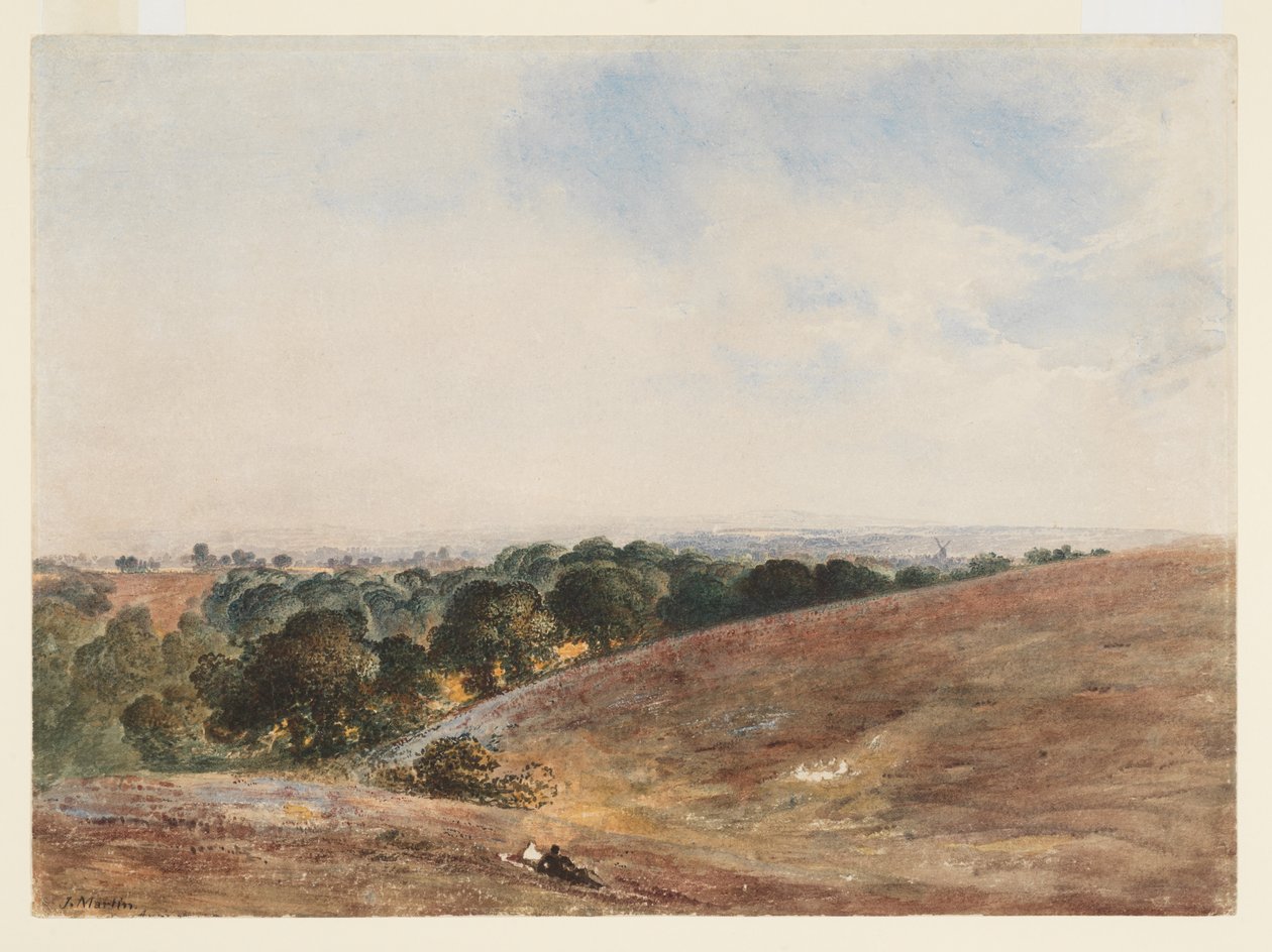 Uitzicht op de South Downs door John Martin