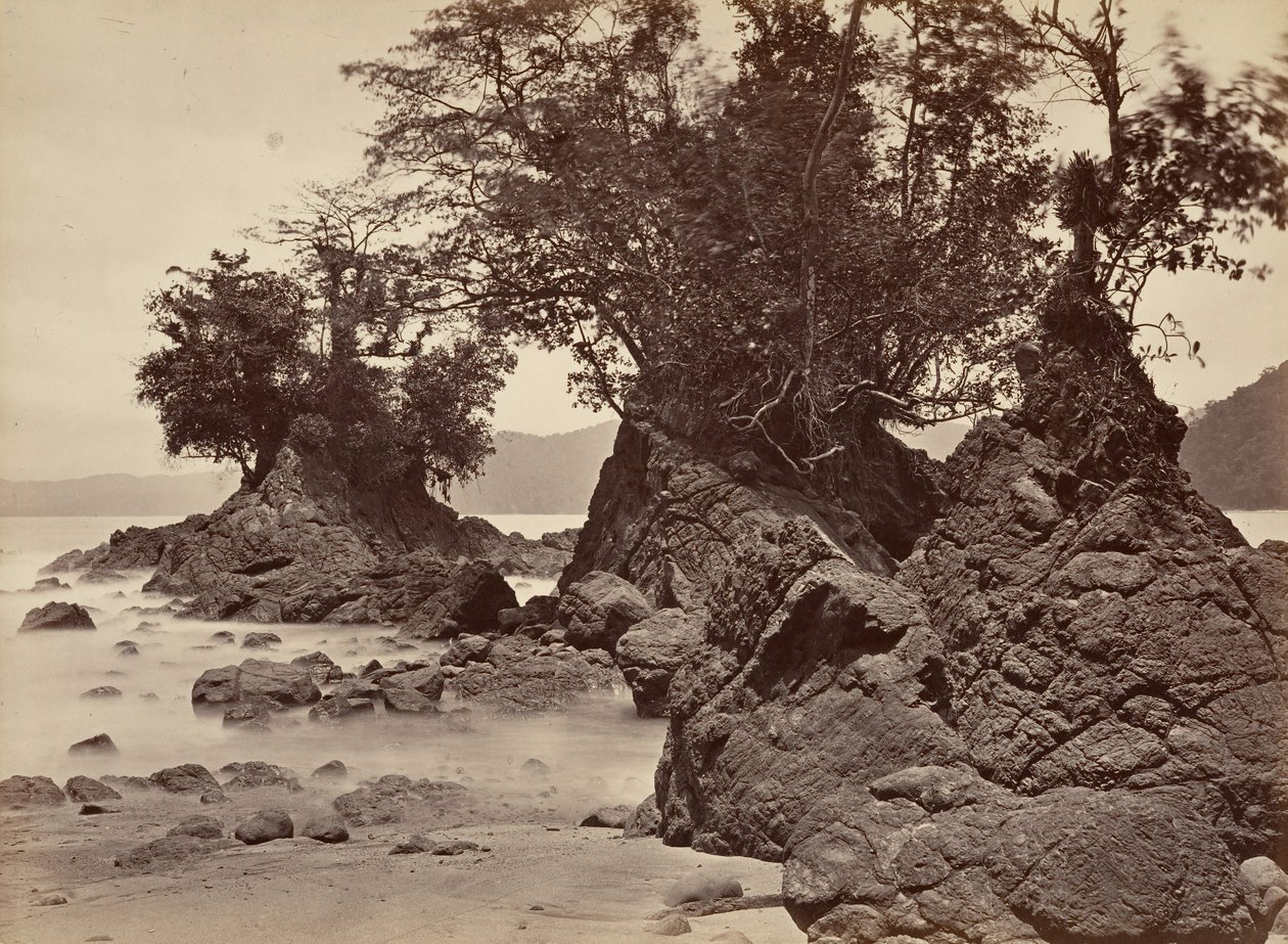 Tropisch Landschap, Limon Bay - Eb, 1871 door John Moran