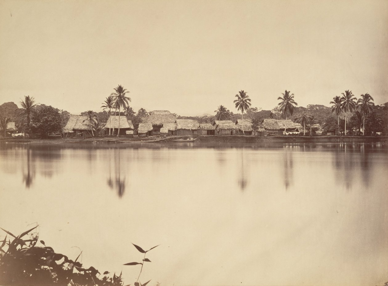 Tropisch Landschap, Santa Maria del Real, Darien, 1871 door John Moran