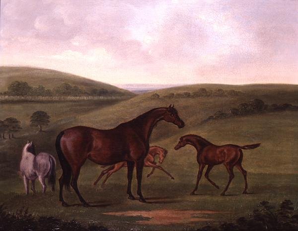 Merrie met veulens in een landschap door John Nott Sartorius