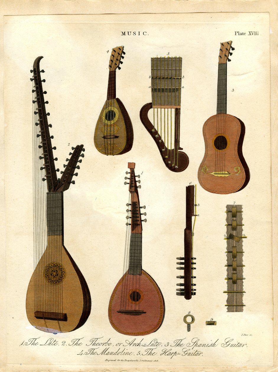 De luit; de theorbe; de boogluit; de Spaanse gitaar; de mandoline; de harp-gitaar door John Pass