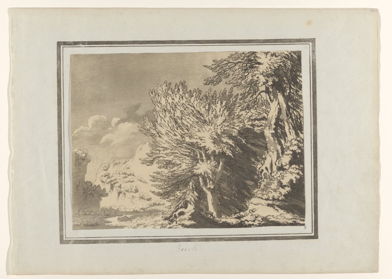 Beuk door John Robert Cozens