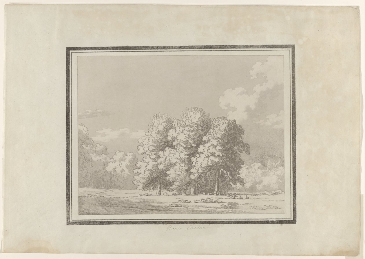Paardenkastanje door John Robert Cozens