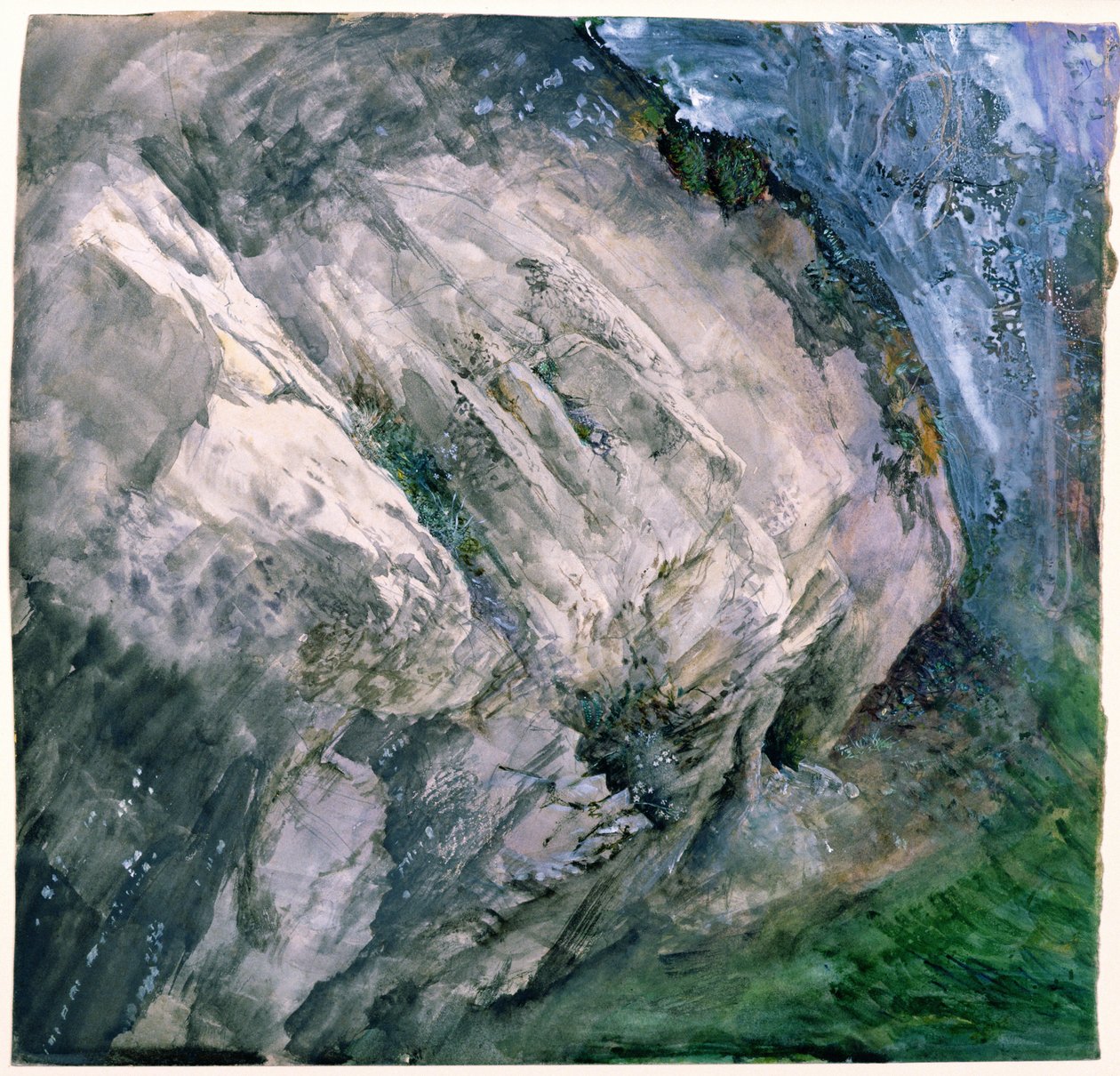 Rotsen en vegetatie bij Chamouni, 1854 door John Ruskin