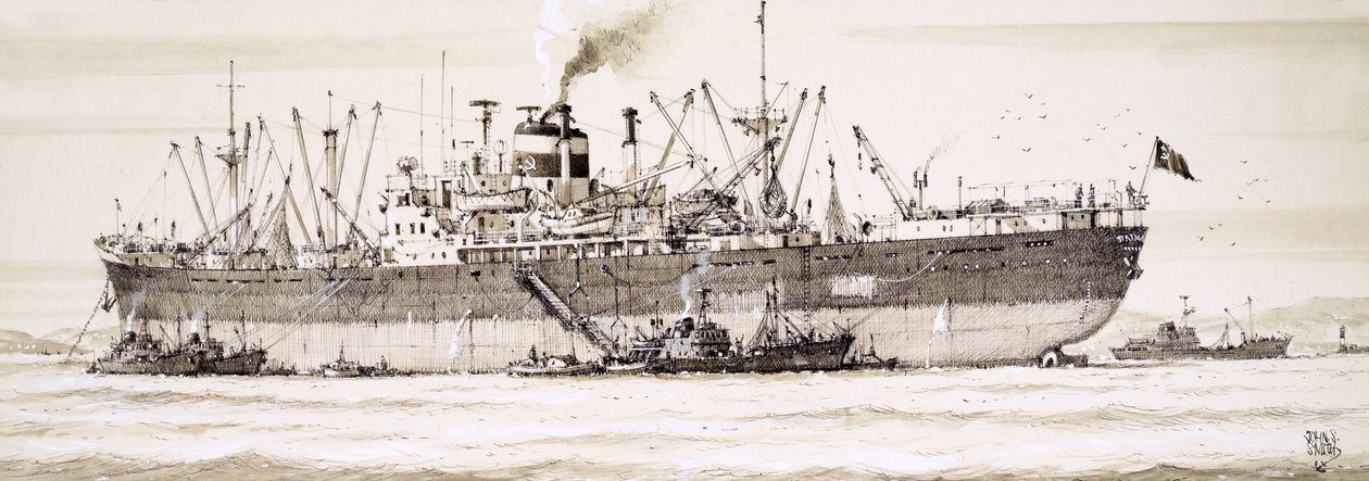 Russische trawlers zwermen rond een fabrieksschip door John S. Smith