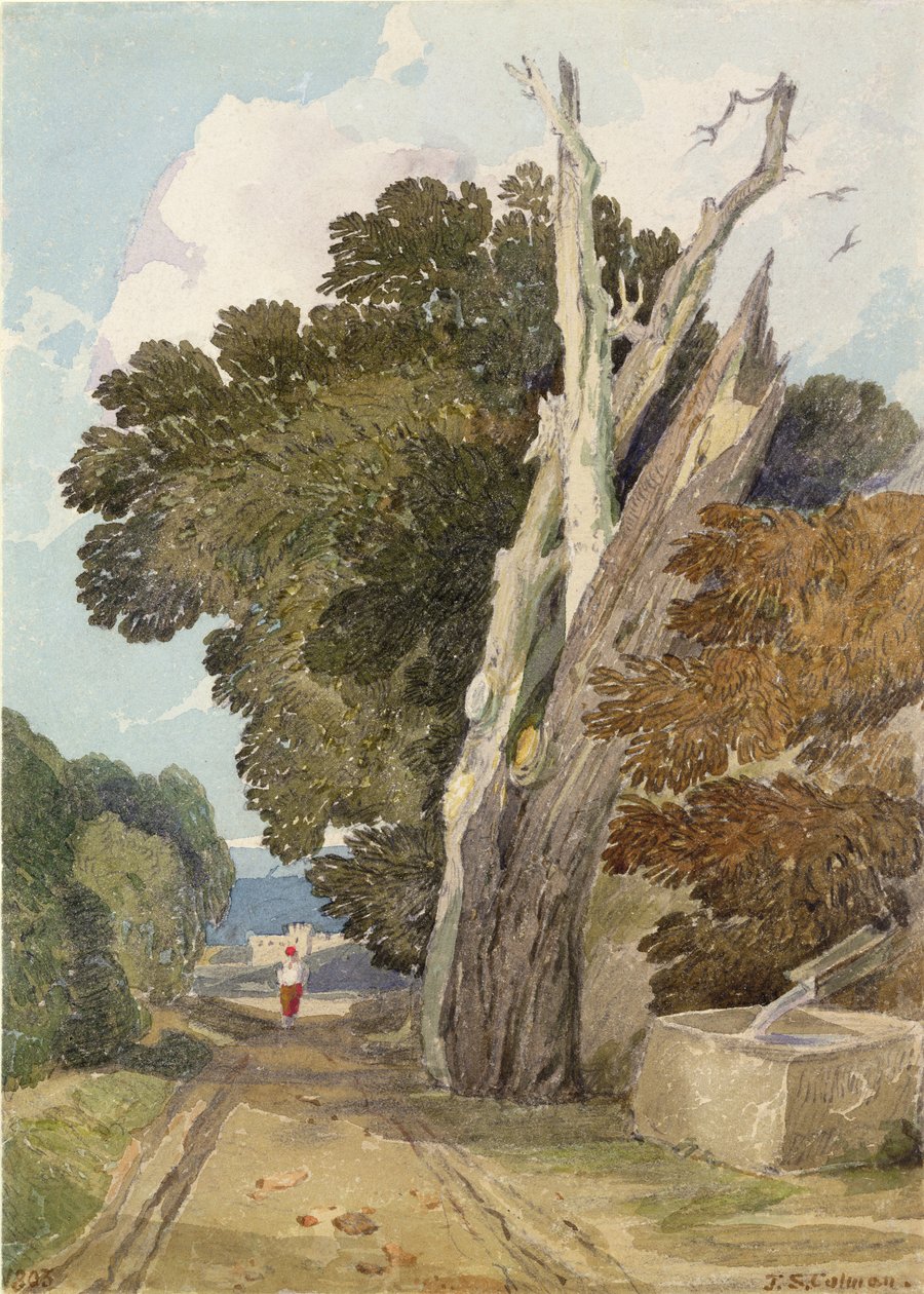 Een Spaanse Kastanjeboom Getroffen door Bliksem door John Sell Cotman