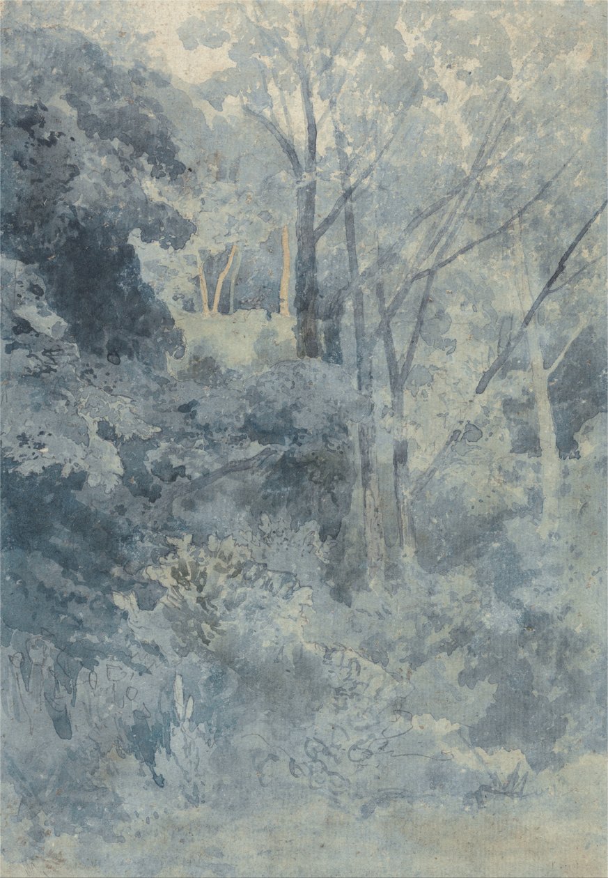 In Rokeby Park door John Sell Cotman