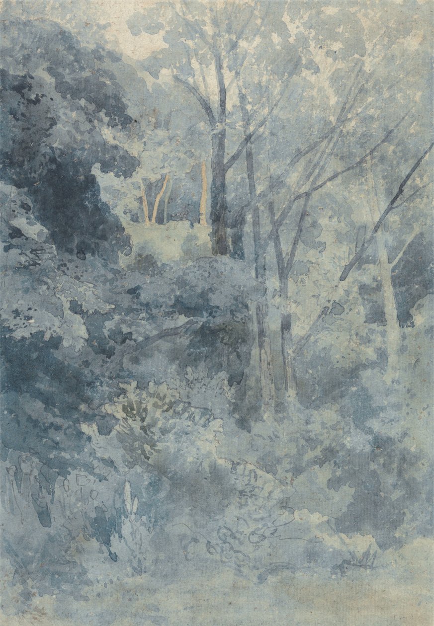 In Rokeby Park door John Sell Cotman