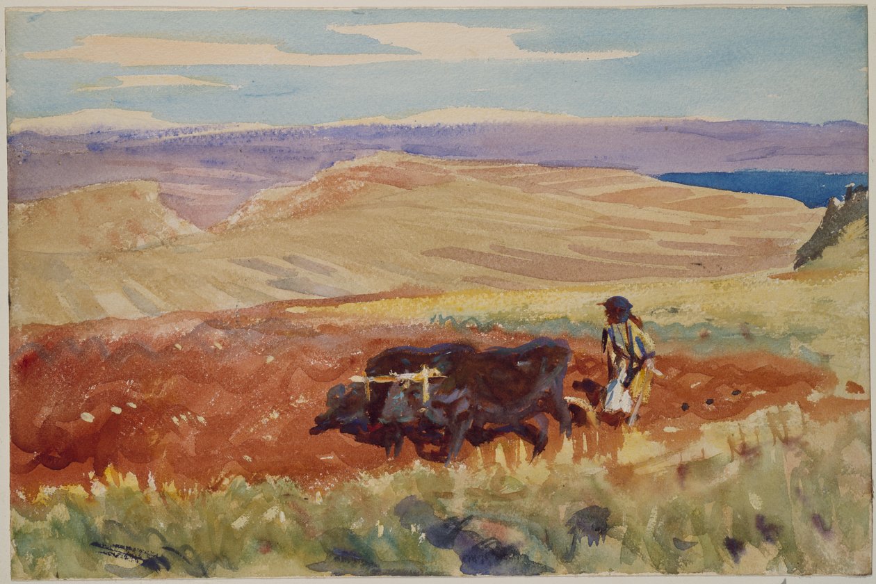 Heuvels van Galilea, c.1905-06 (aquarel) door John Singer Sargent