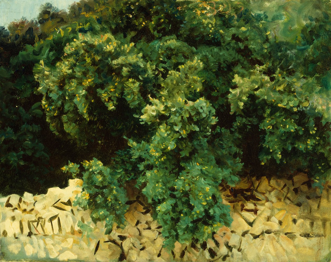Ilexhout, Mallorca door John Singer Sargent