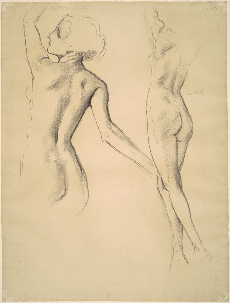Studies voor 