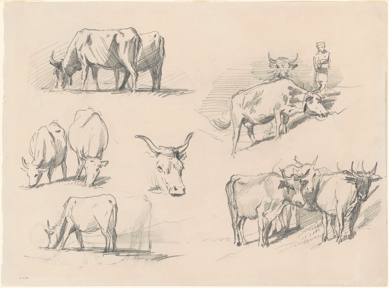 Studies van vee, ca. 1872 door John Singer Sargent