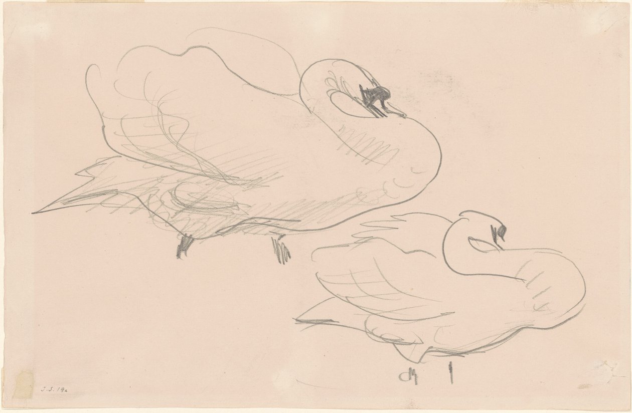 Studies van een Zwaan door John Singer Sargent