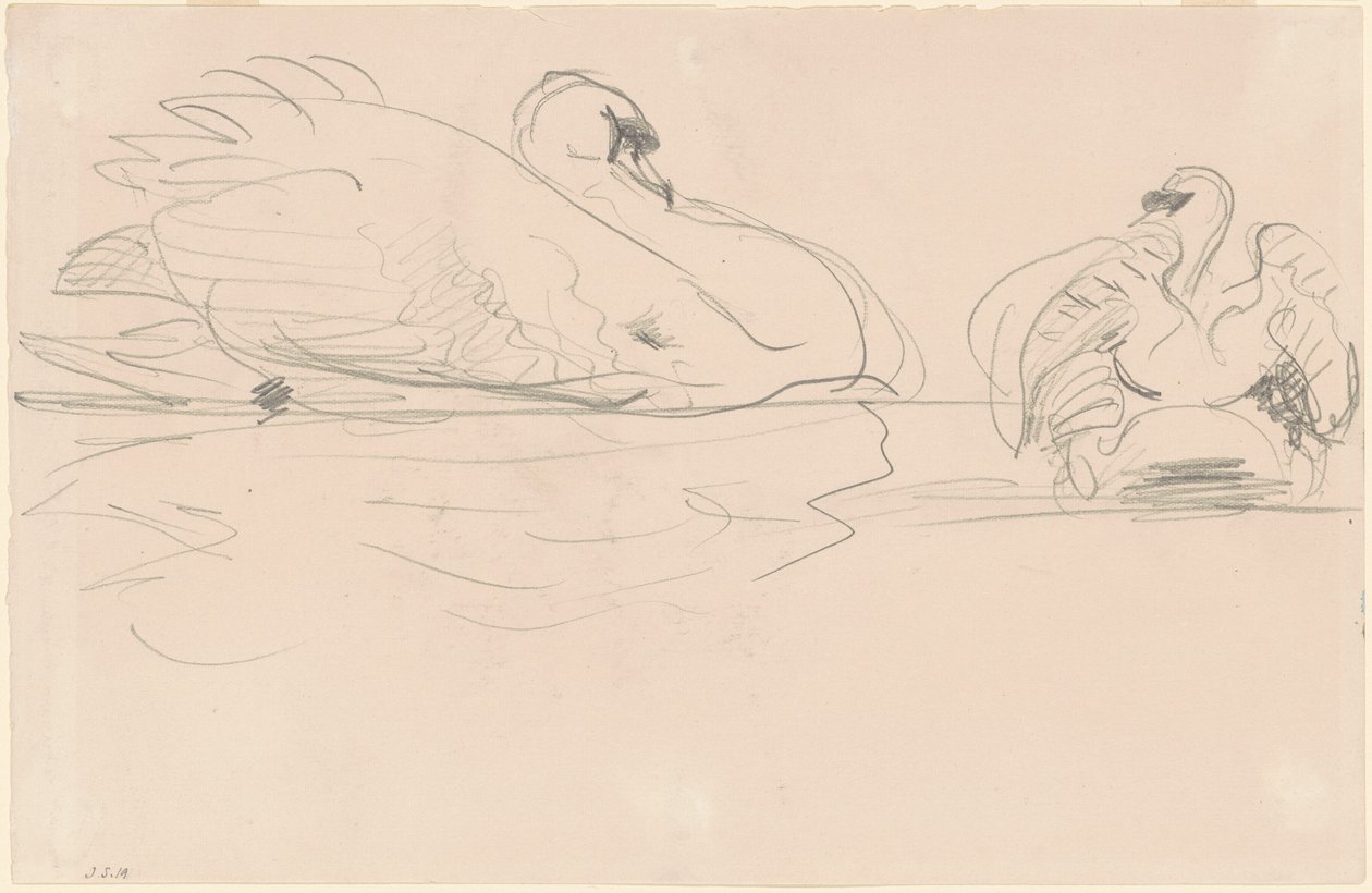 Zwanen in het Water door John Singer Sargent
