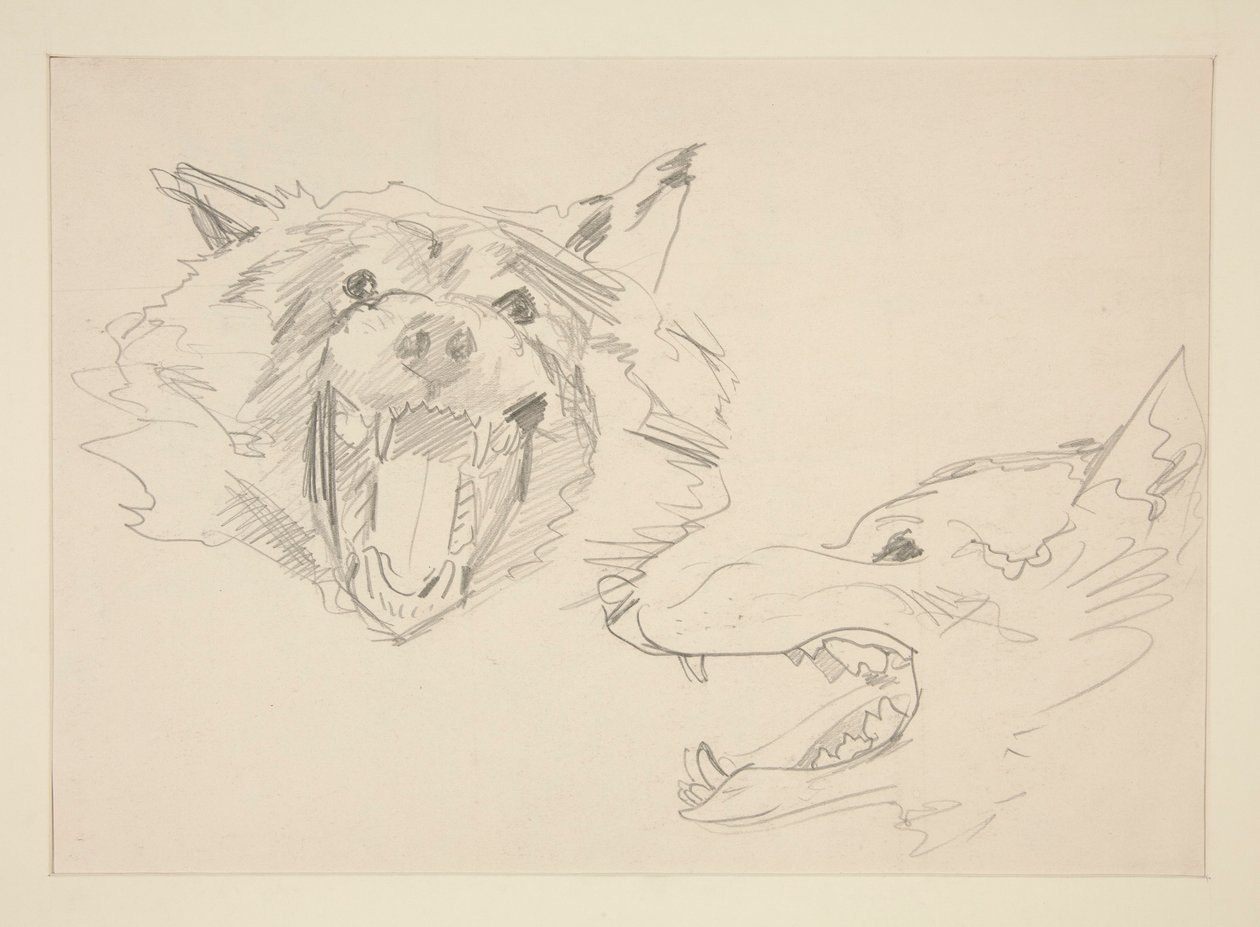 Twee Zichten van een Wolf door John Singer Sargent
