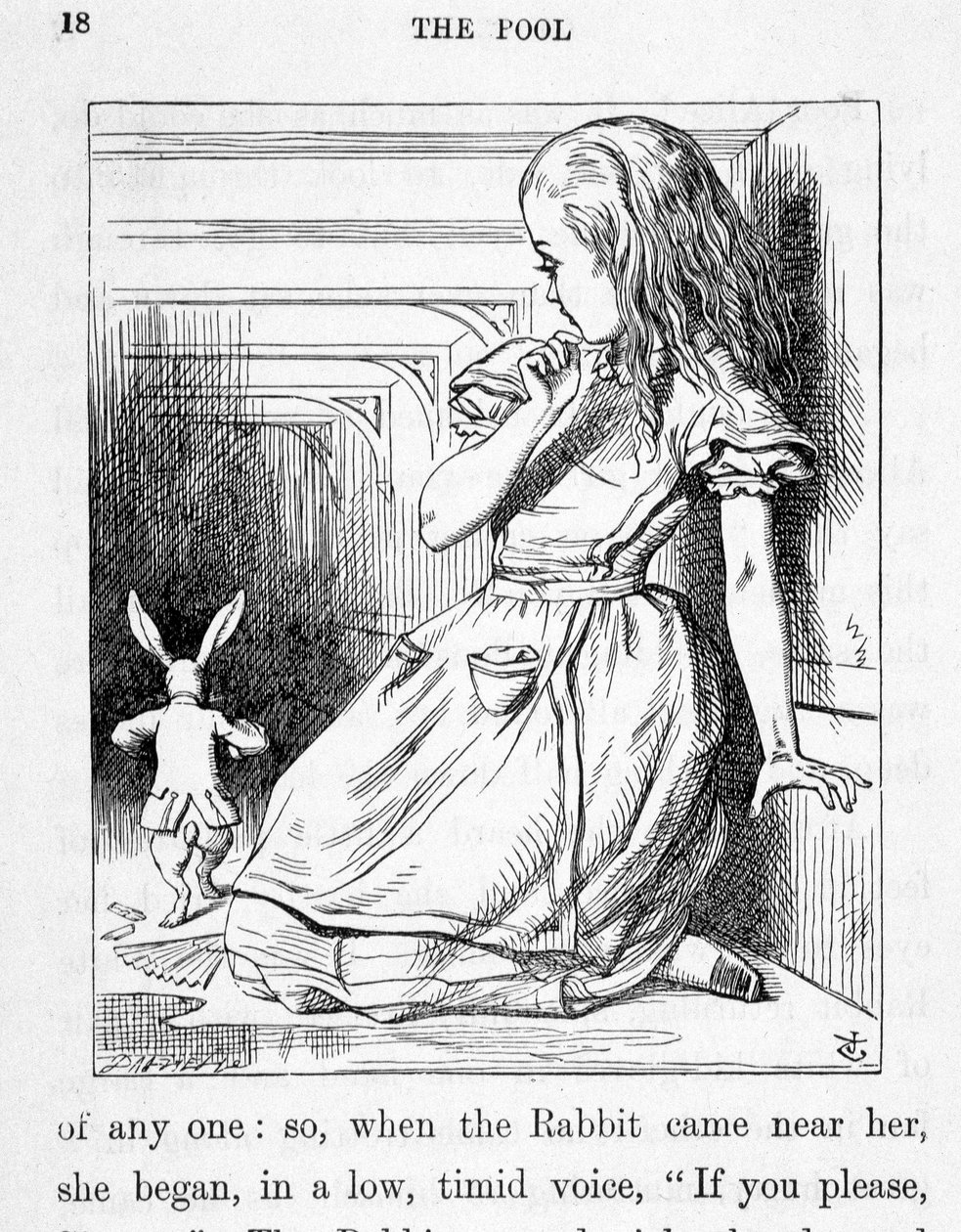 Alice en het konijn - in 