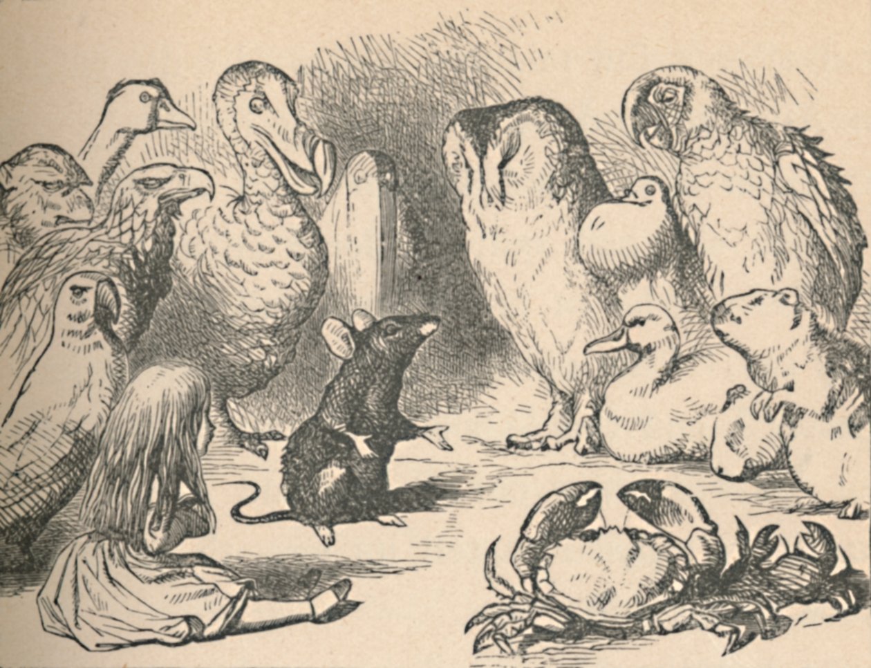 Illustratie voor het hoofdstuk een Caucus-Race en een lange staart. Alice en verschillende wezens door John Tenniel