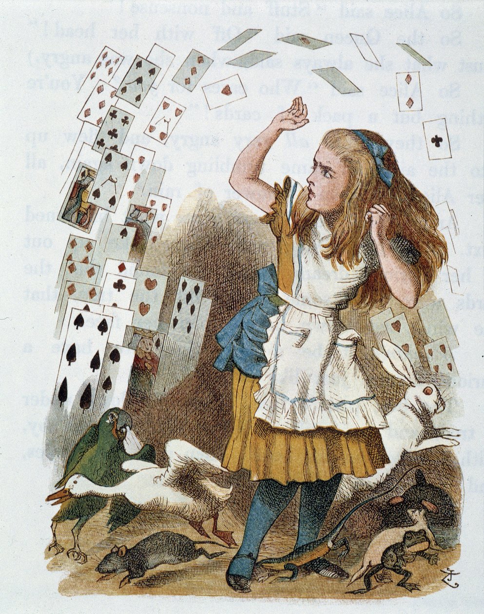 Speelkaarten - in 