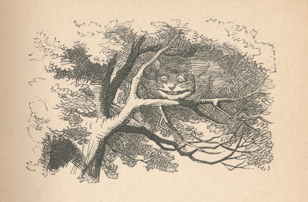 De Cheshire Cat begint te verdwijnen, zijn glimlach is het laatste dat verdwijnt, 1889 door John Tenniel