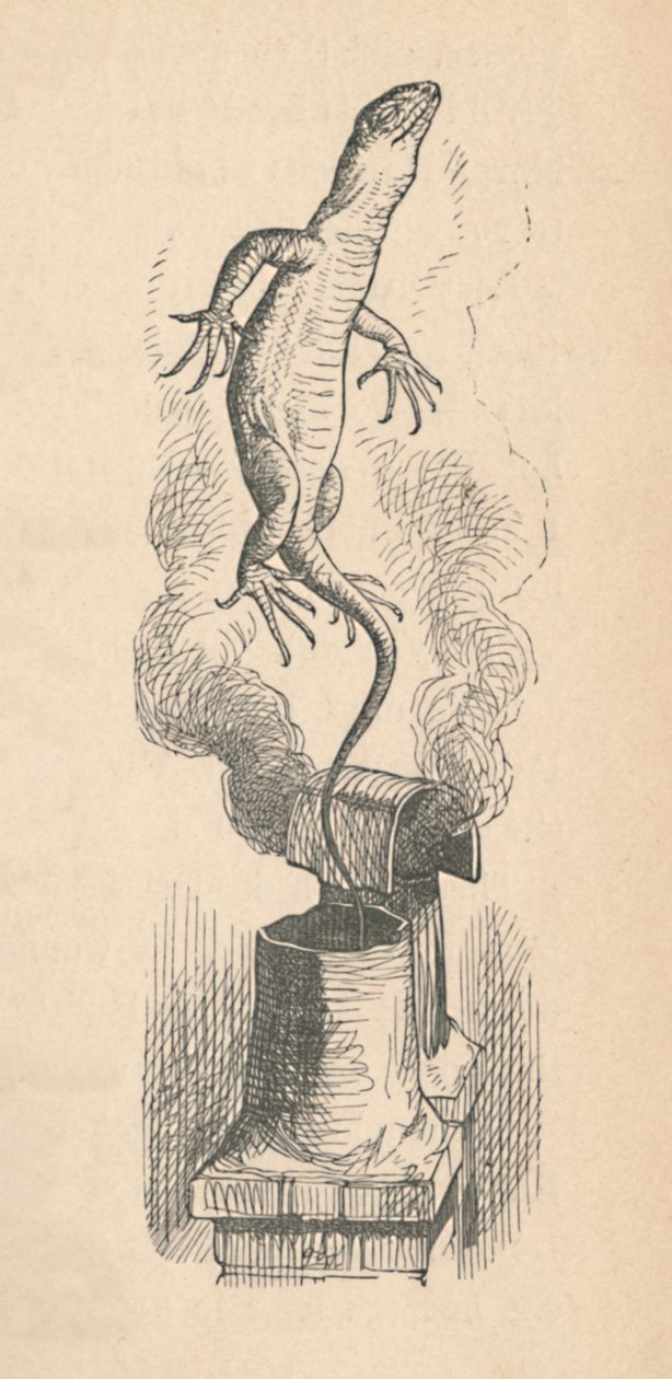 De hagedis, 1889 door John Tenniel