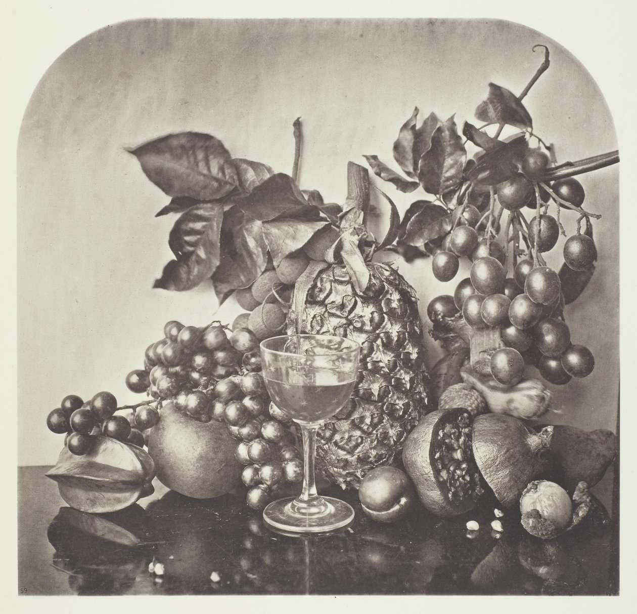 Fruit door John Thomson