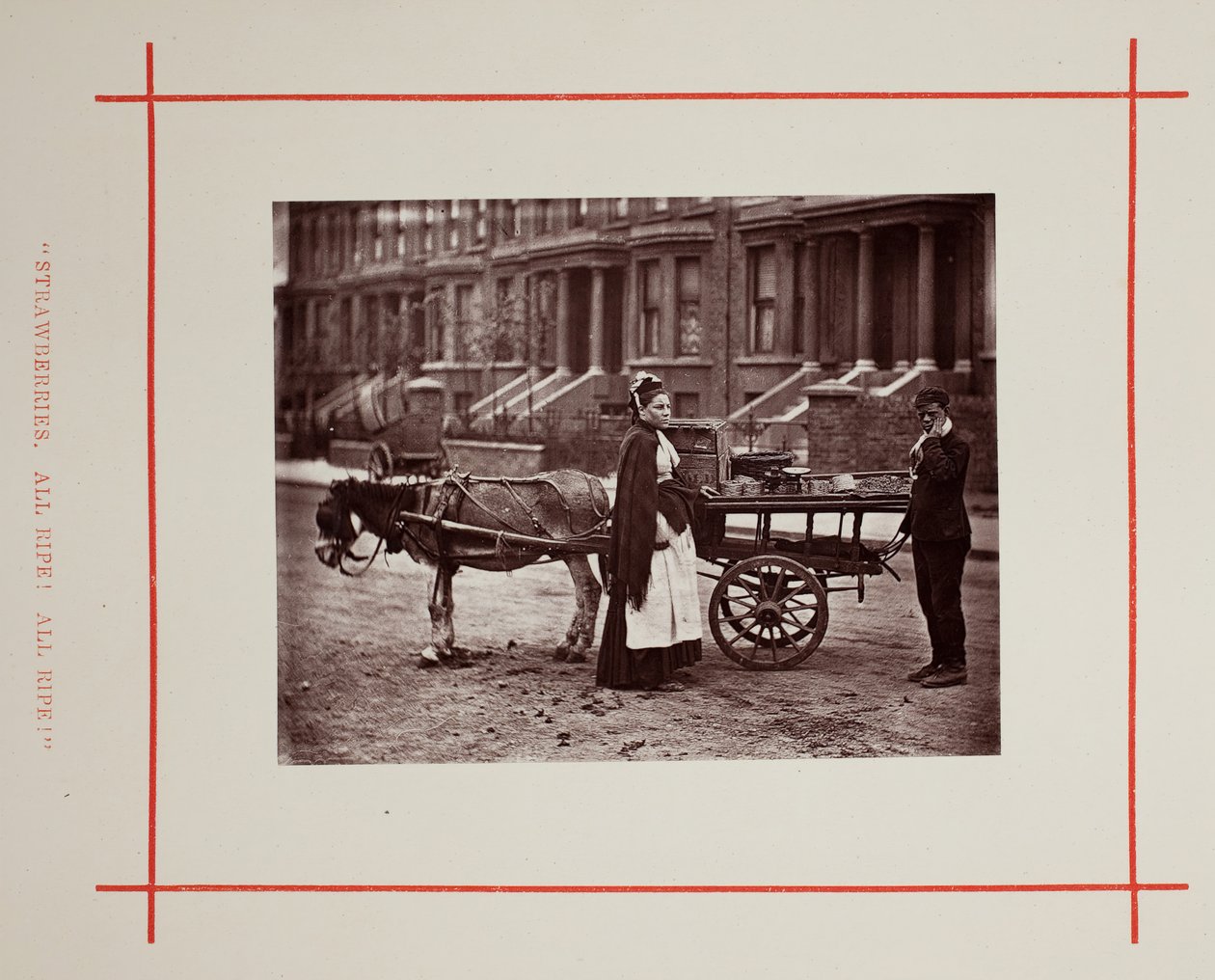 Aardbeien. Alle rijp! Alle rijp!, 1877 door John Thomson