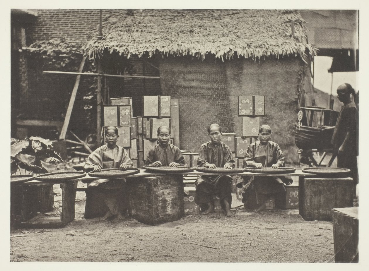 Theeplukken in Canton door John Thomson