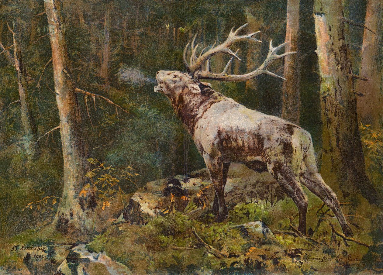  door John Trivett Nettleship