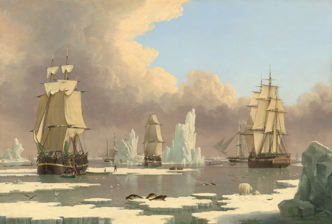 De noordelijke walvisvangst: De Zwaan en Isabella door John Ward I