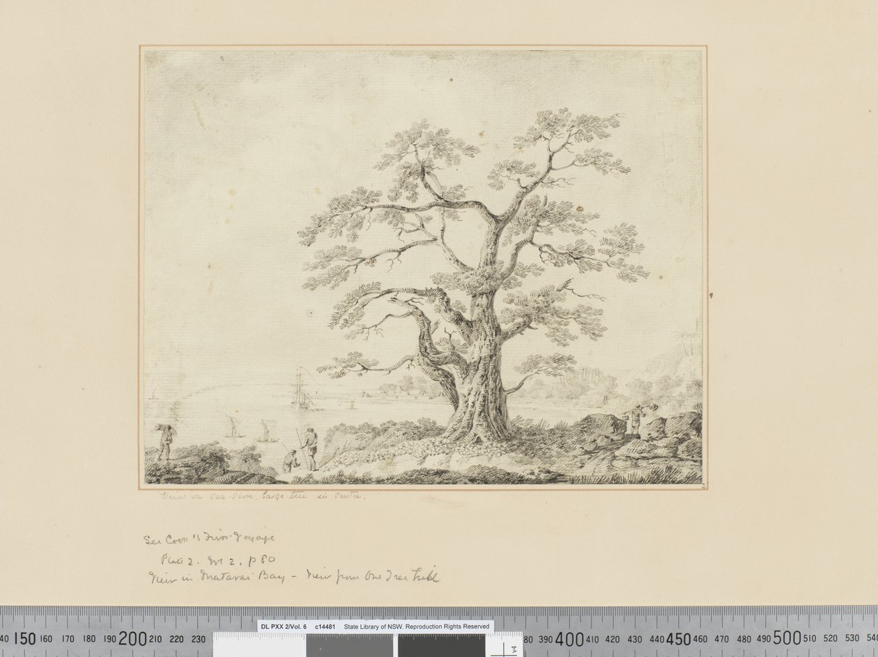 Uitzicht op de kust, grote boom in het midden door John Webber
