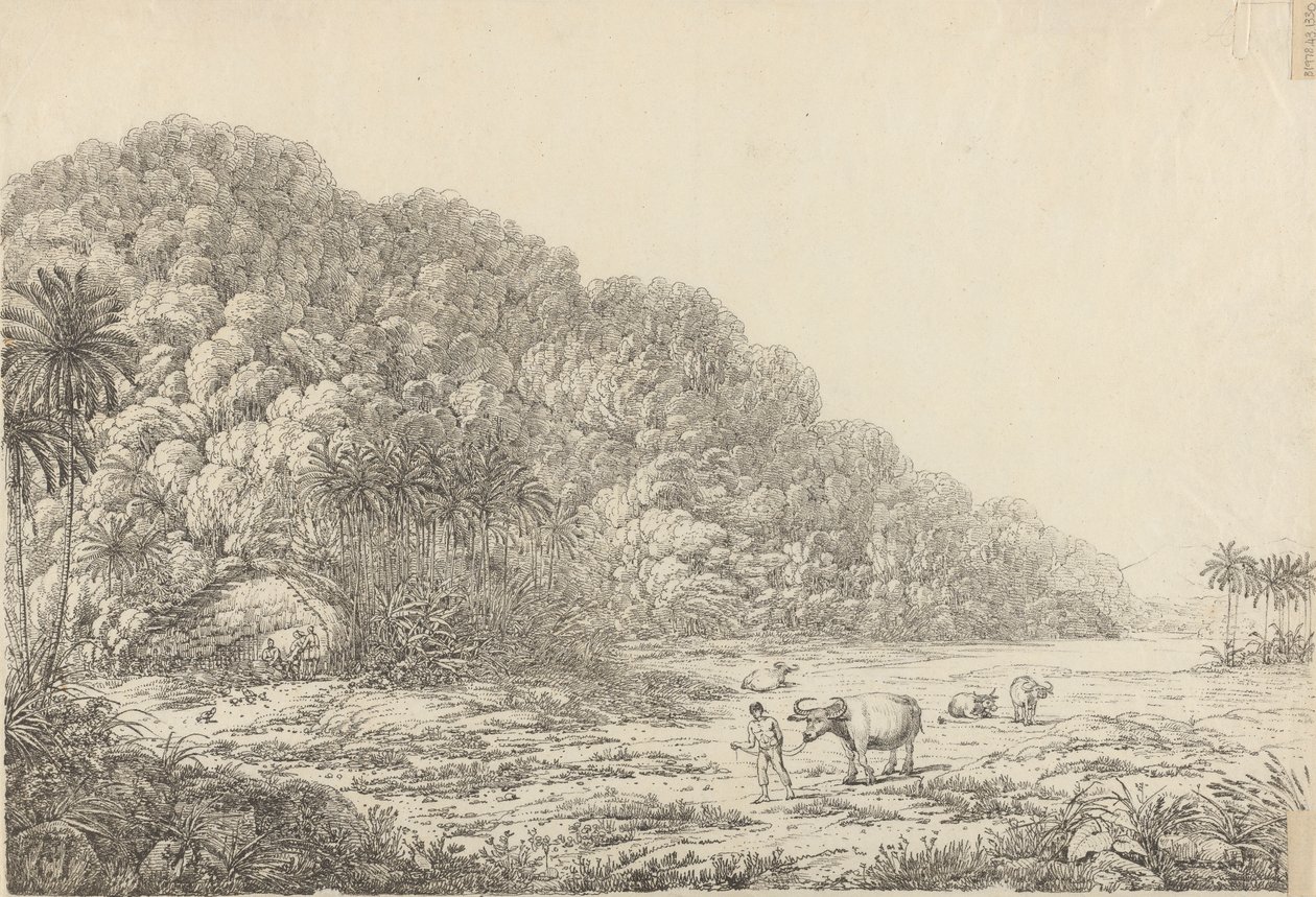 Zicht op het Eiland Pulo Condore door John Webber