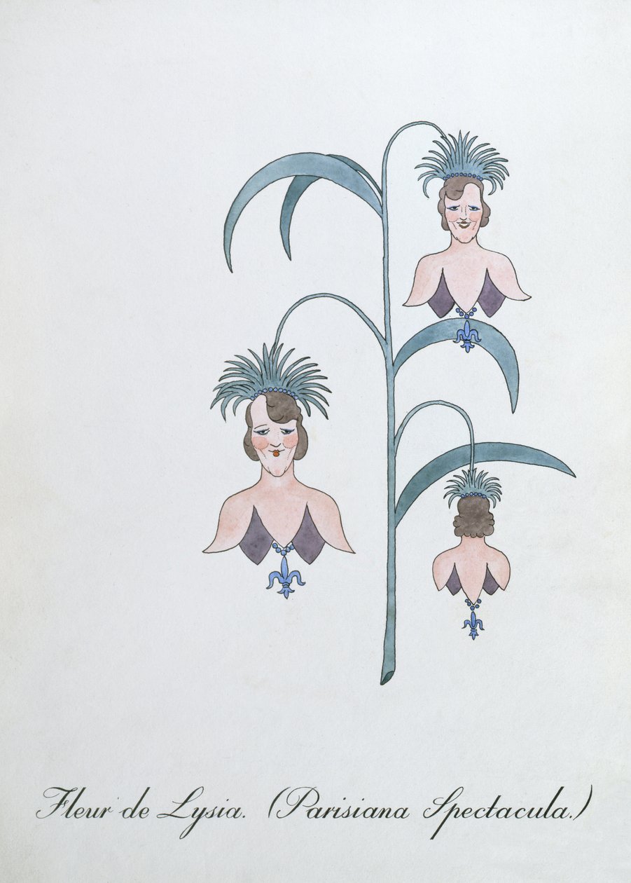 Fleur de Lysia (Parisiana Spectacula.), illustratie uit 