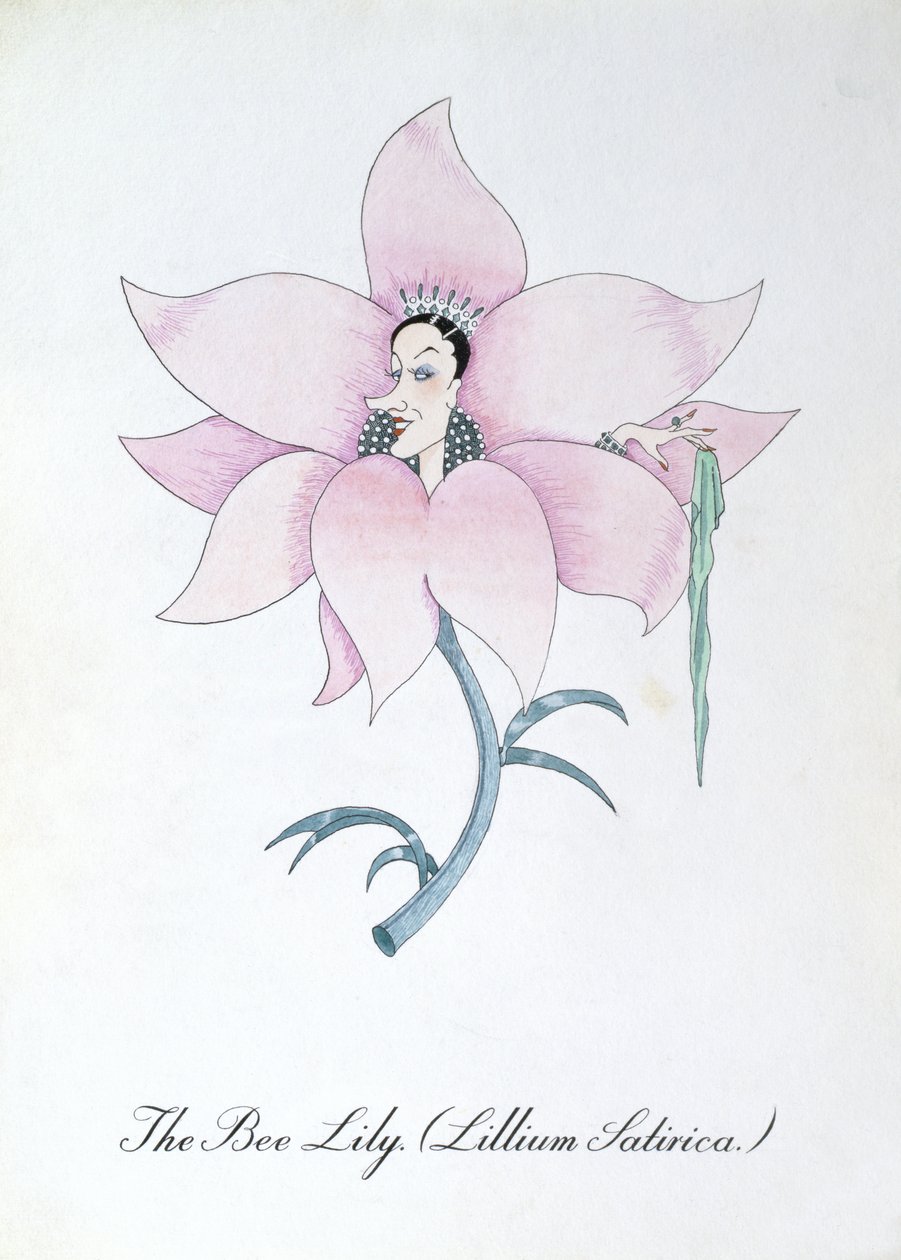 De Bijenlelie (Lillium Satirica.), illustratie uit 
