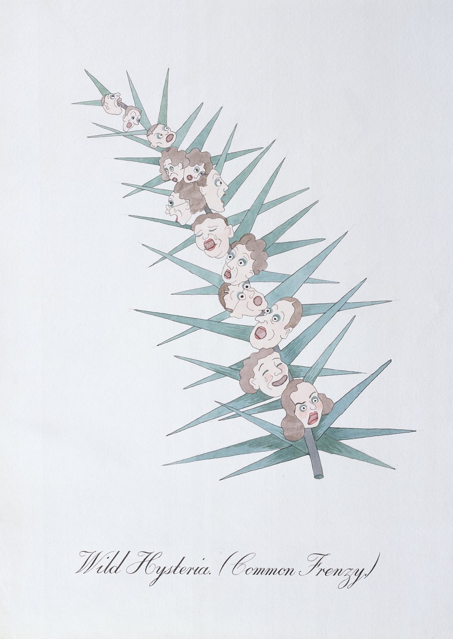 Wilde Hysterie (Gewone Frenzy.), illustratie uit 