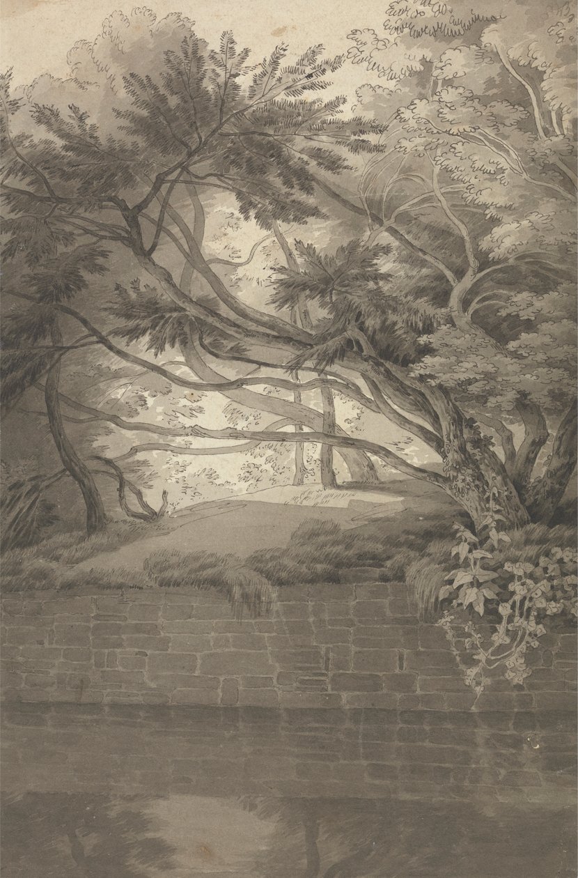 Bomen overhangend een meer door John White Abbott