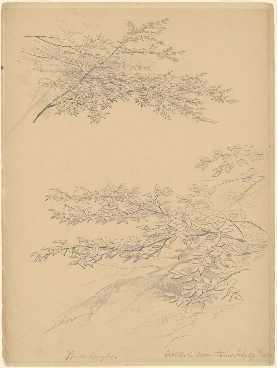 Berkentakken, Catskill Bergen door John William Casilear