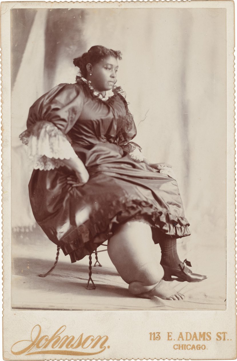 Portret van een vrouw,c. 1890 (foto) door Johnson