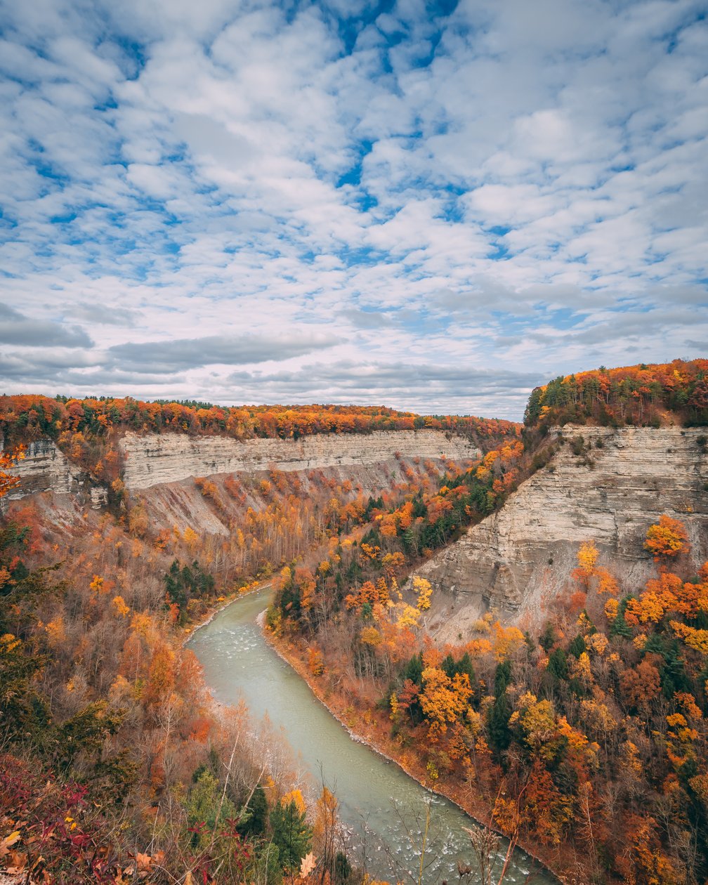 Herfstkleuren in de kloof van Letchworth State Park, in New York, VS door Jon Bilous