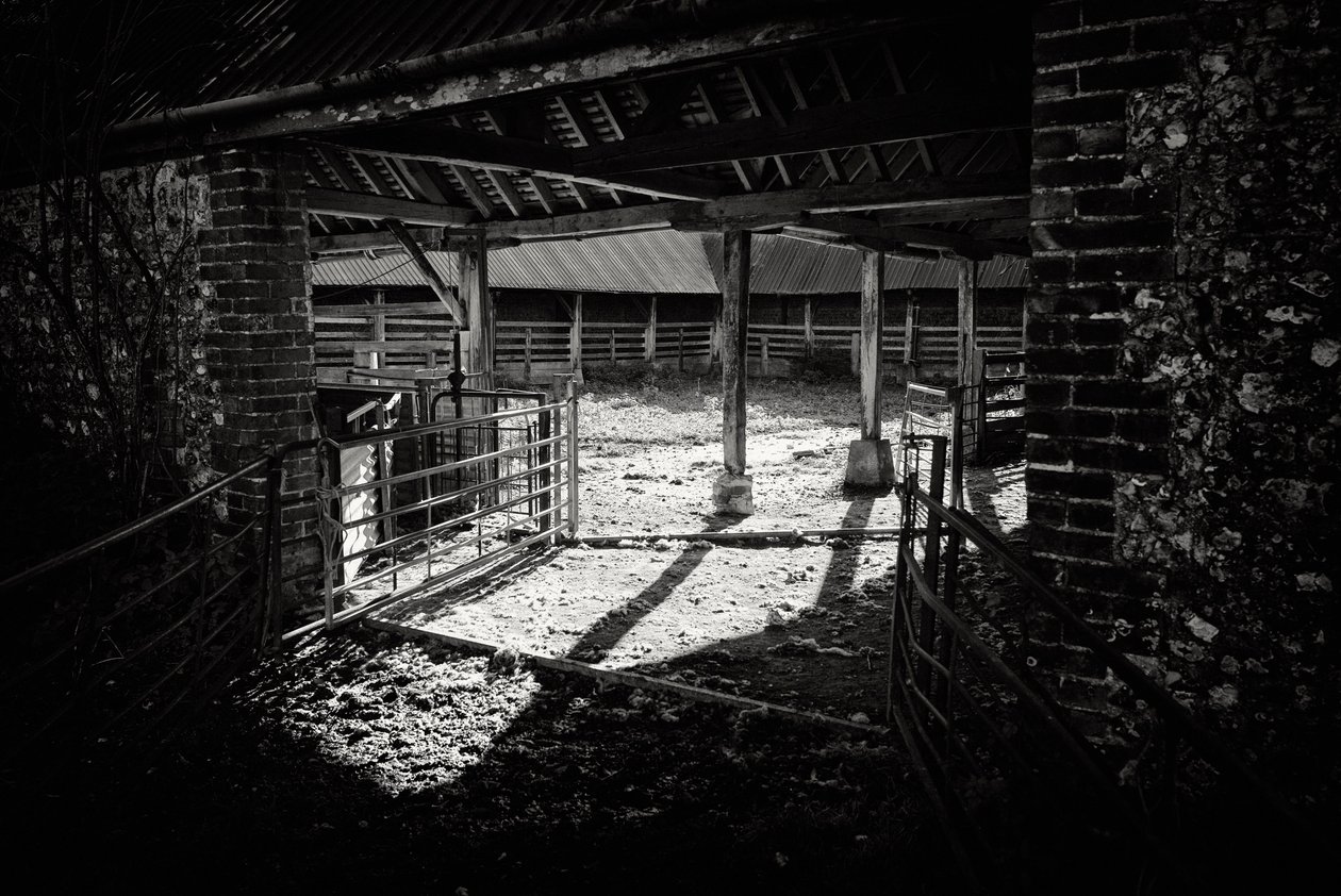  door Jon Nicholson
