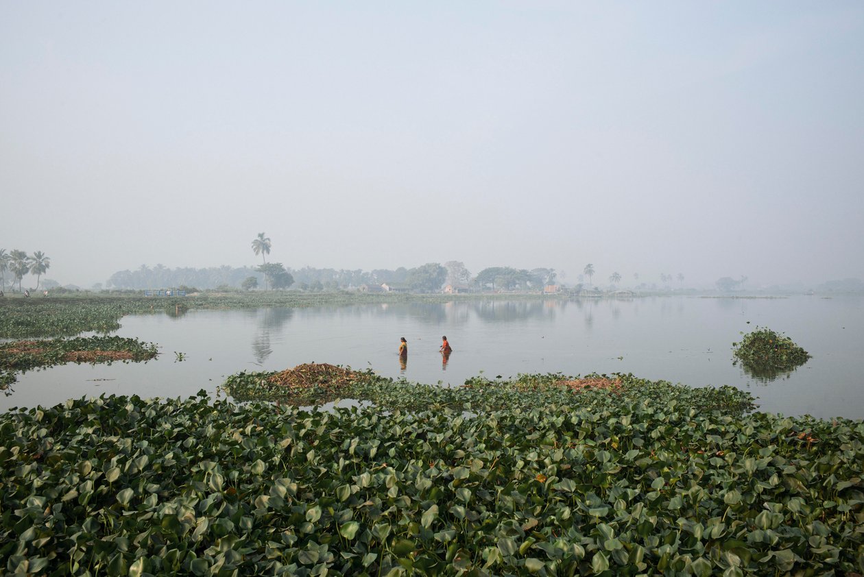 Wetlandvissen in Kolkata, 2016 (foto) door Jon Nicholson