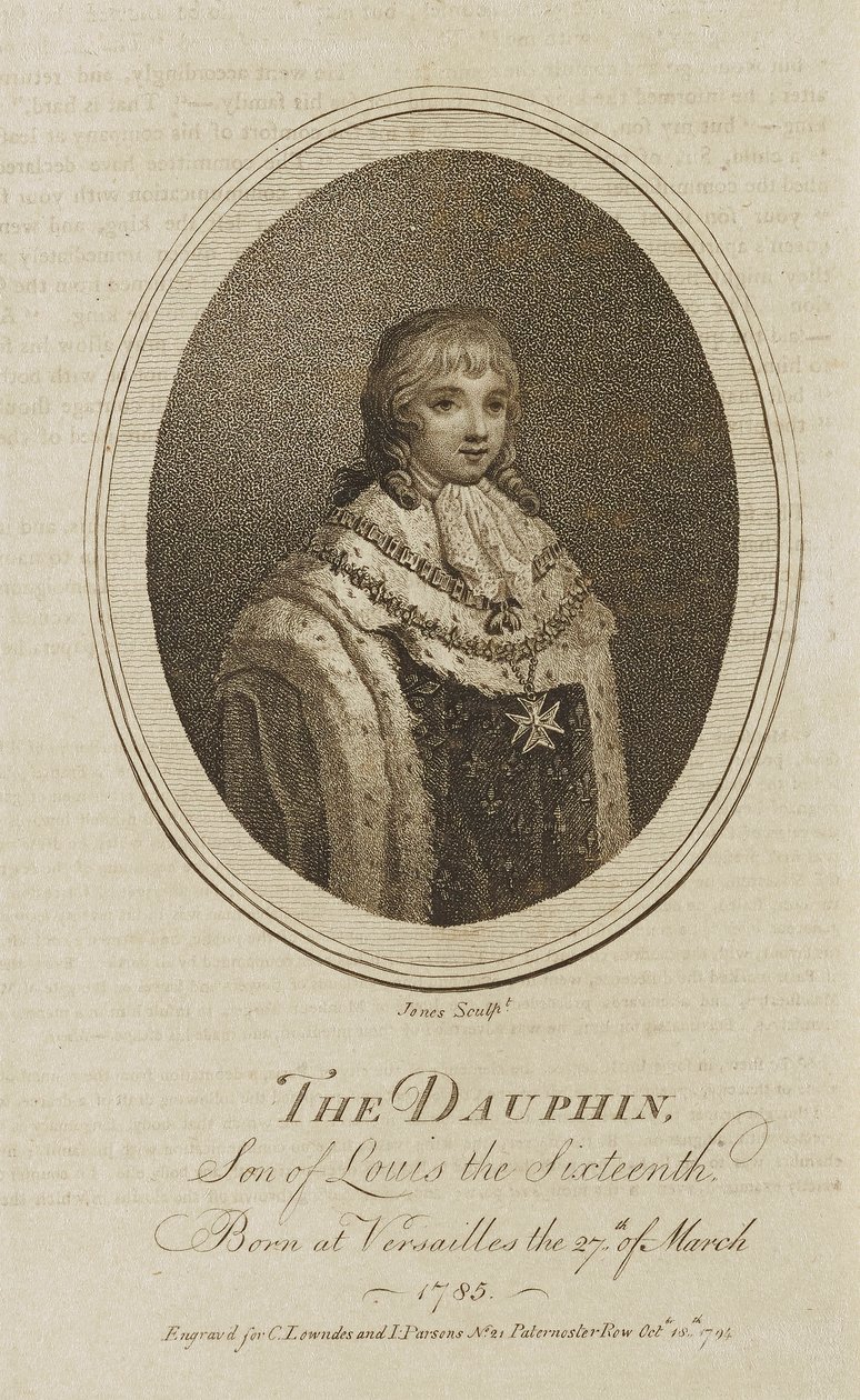 De dolfijn door Jones