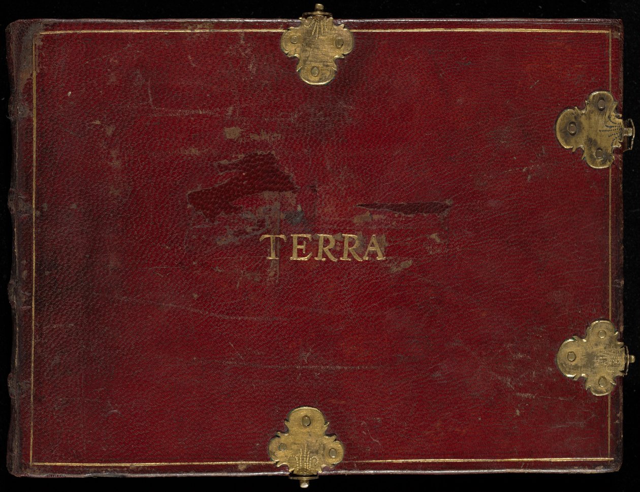 Animalia Qvadrvpedia et Reptilia (Terra), deel II door Joris Hoefnagel