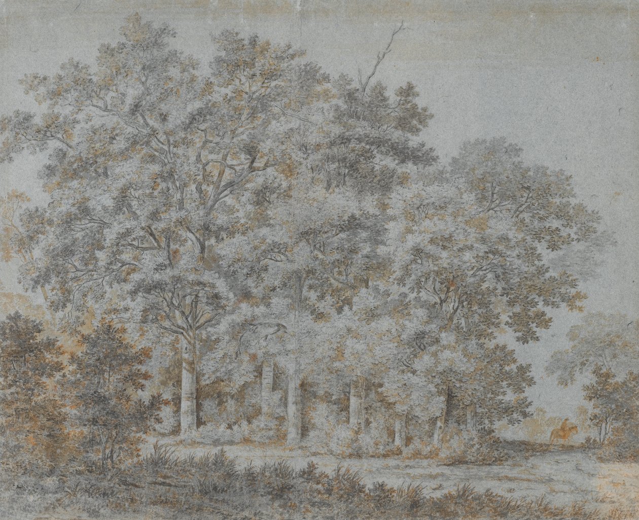 Bos en ruiter door Joris van der Hagen