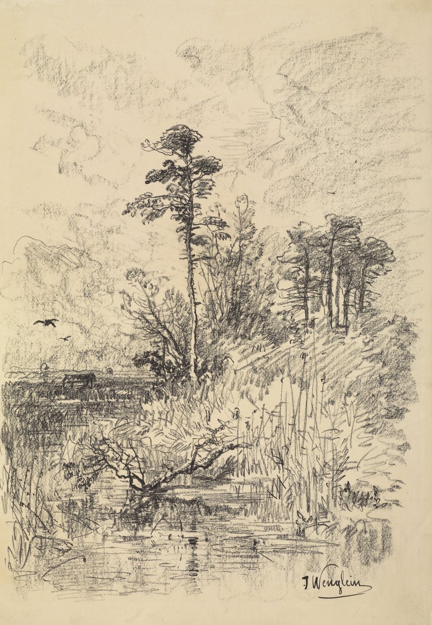 Rivierlandschap door Josef Wenglein