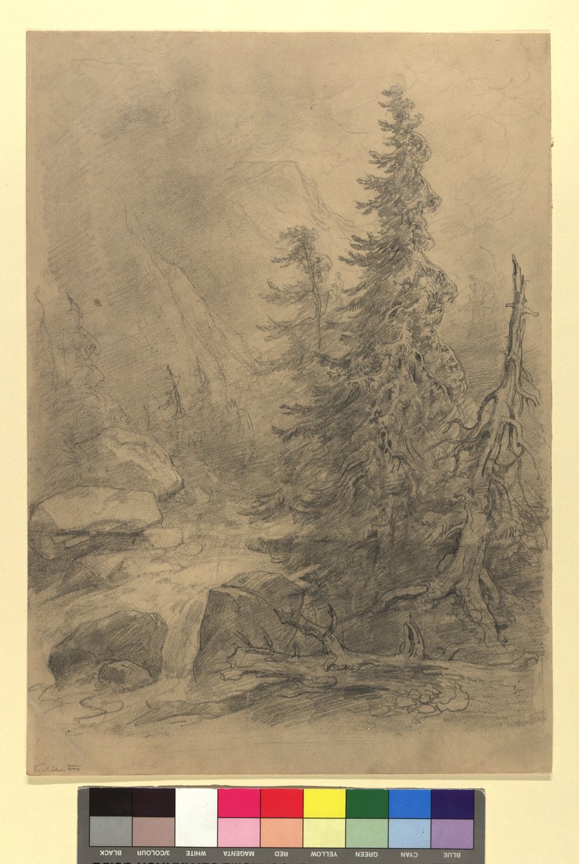 Bergbeek met naaldbomen door Josef Kriehuber