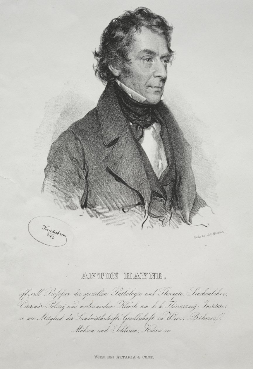 Portret van Dr. Anton Hayne door Josef Kriehuber