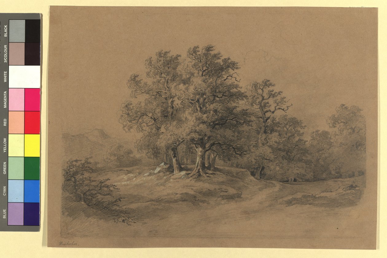 Boslandschap door Josef Kriehuber